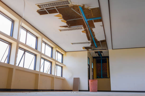 Best Water damage restoration experts  in Youngsville, LA