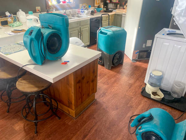 Sewage cleanup and water damage restoration in Youngsville, LA
