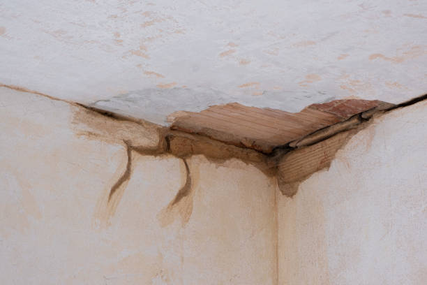 Local water damage restoration in Youngsville, LA