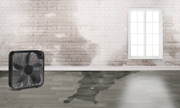 Reliable Youngsville, LA Water damage restoration Solutions