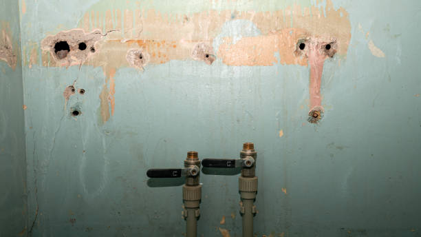 Best Carpet water damage restoration  in Youngsville, LA