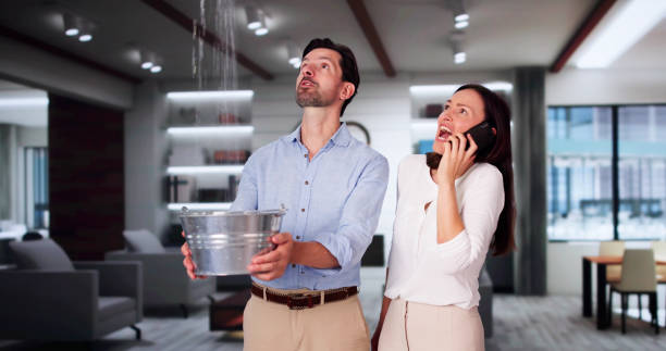 Best Mold removal after water damage  in Youngsville, LA